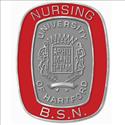 Picture of White-Gold Plate BSN Nursing Pin