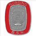 Picture of Single White-Gold Filled BSN Nursing Pin