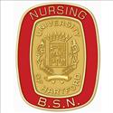 Picture of 10K Yellow-Gold BSN Nursing Pin