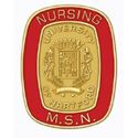 Picture of Yellow-Gold Plate MSN Nursing Pin