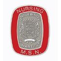 Picture of Single White-Gold Filled MSN Nursing Pin